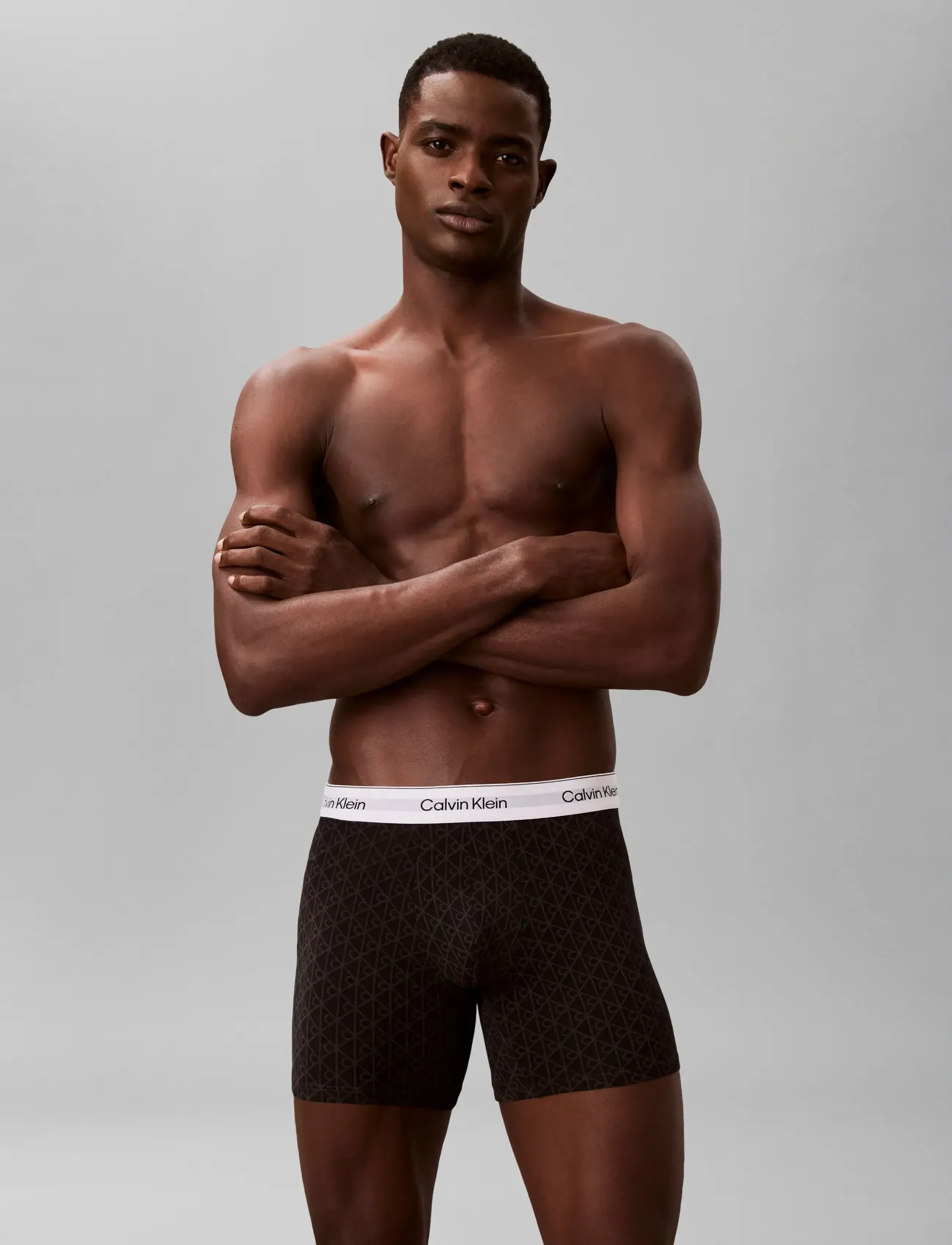 Calvin Klein - BOXER BRIEF 3PK - sleet seamless emblem_black ashford - 3
