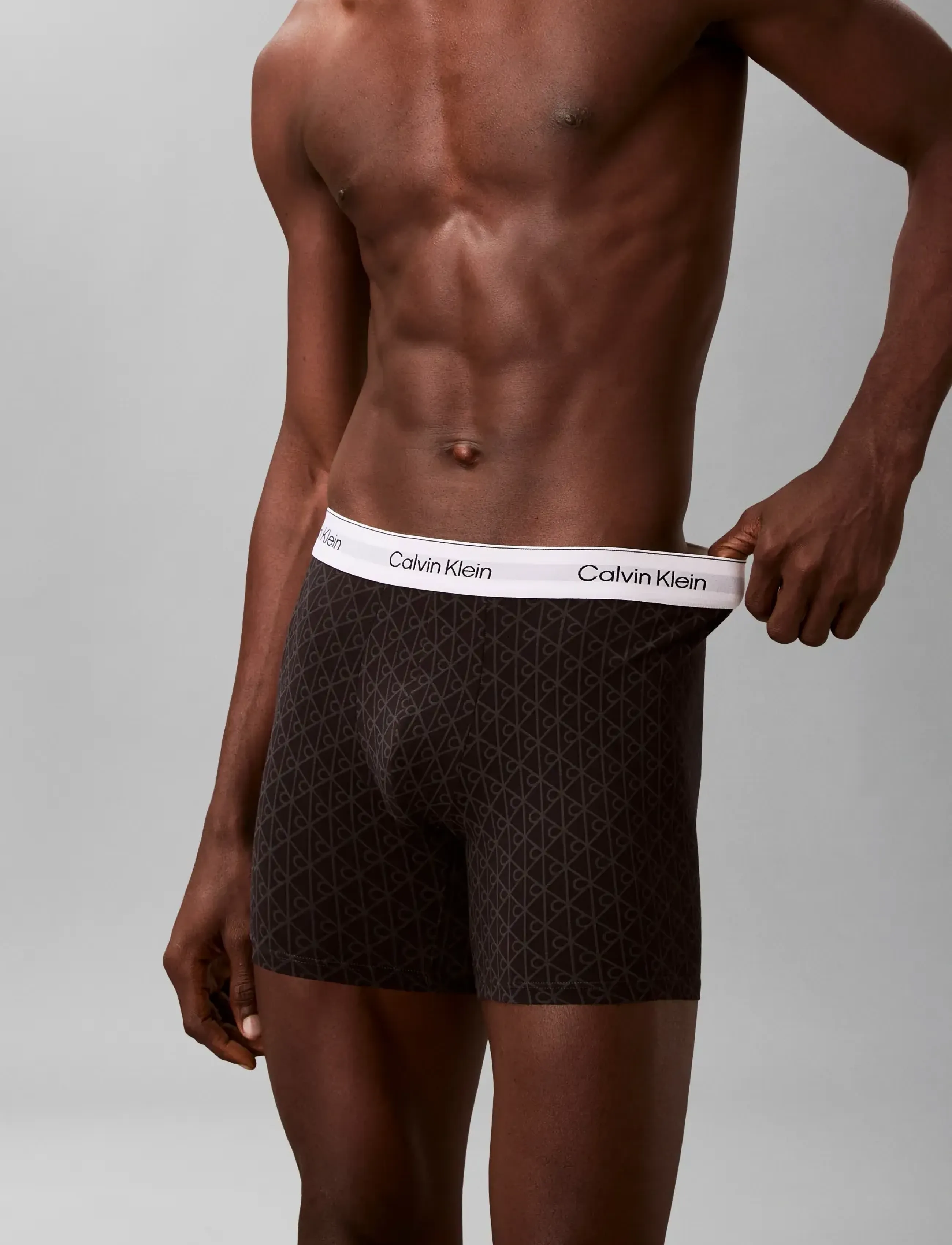 Calvin Klein - BOXER BRIEF 3PK - sleet seamless emblem_black ashford - 4