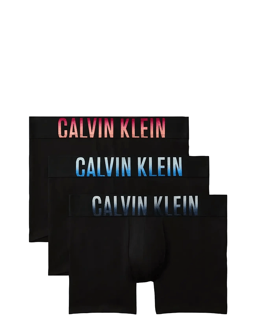 Calvin Klein - BOXER BRIEF 3PK - bokserid - blck bdies w pln air drk sphire wld - 1