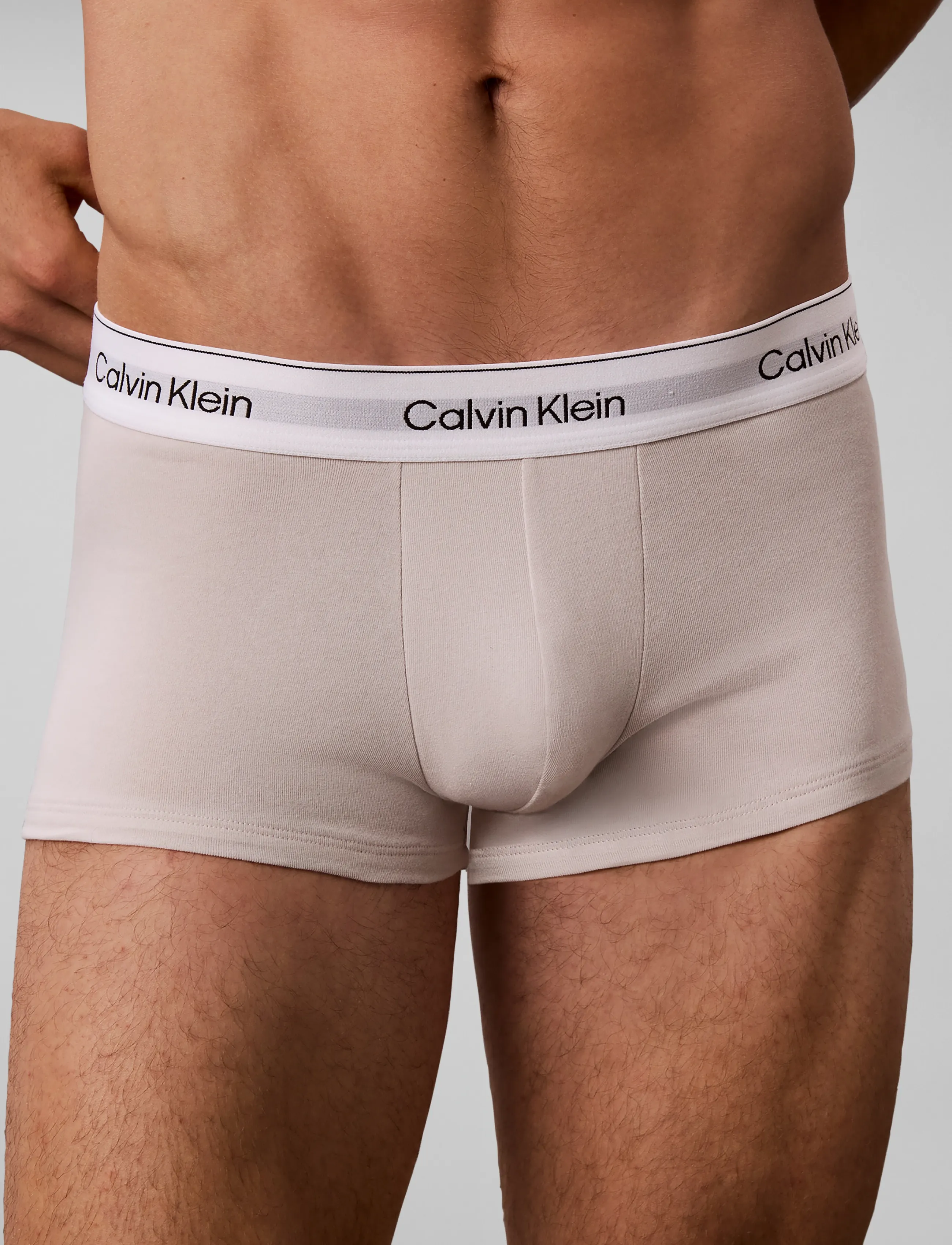 Calvin Klein - LOW RISE TRUNK 3PK - turbulence   chinois green   silver - 3