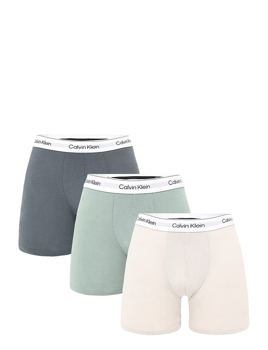 Calvin Klein - BOXER BRIEF 3PK - multipack underpants - turbulence chinois green silver - 1