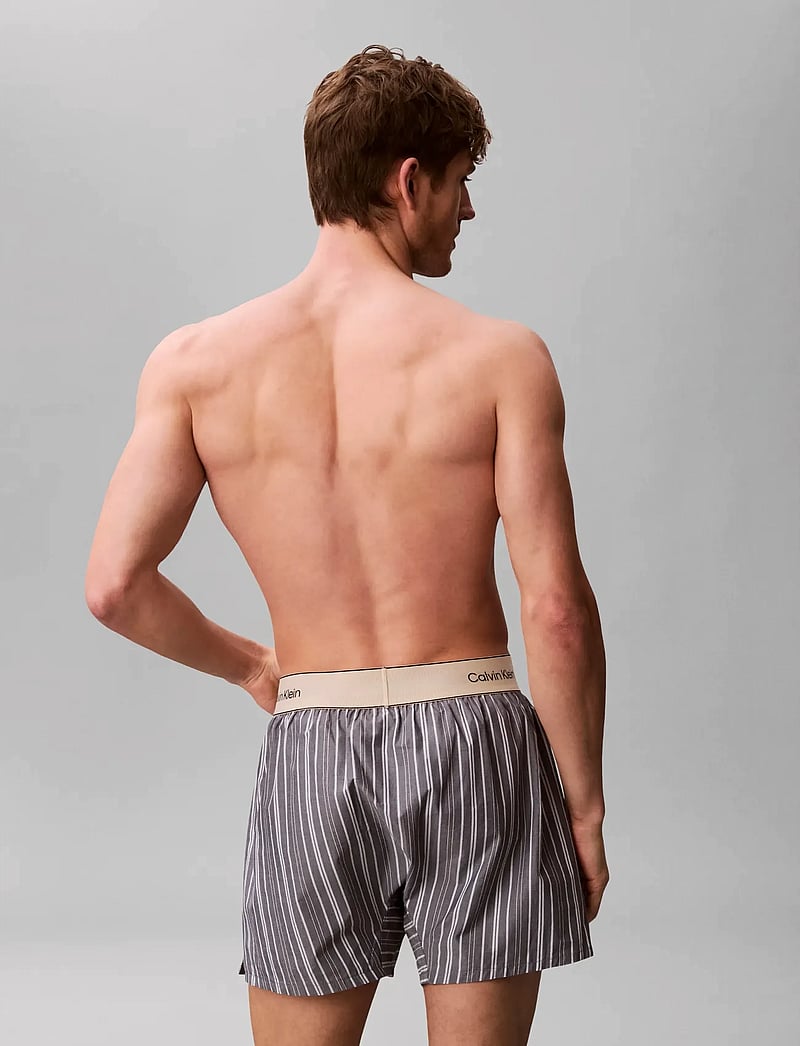 Calvin Klein - BOXER TRAD - boxershorts - majorca stripe speakeasy - 2