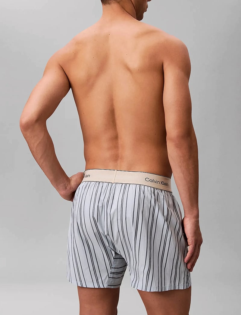 Calvin Klein - BOXER TRAD - lühikesed bokserid - majorca stripe breezy blue - 2