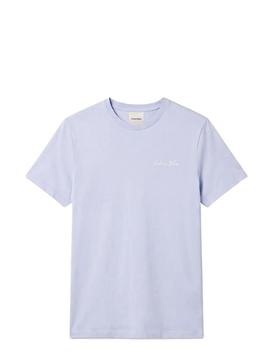 Calvin Klein - SCRIPT S/S CREW NECK - nattrøjer - plein air - 1