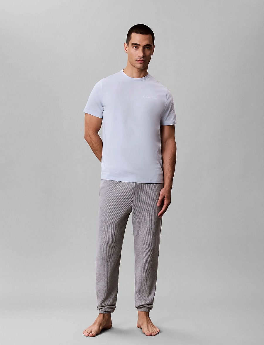 Calvin Klein - SCRIPT S/S CREW NECK - nattrøjer - plein air - 0
