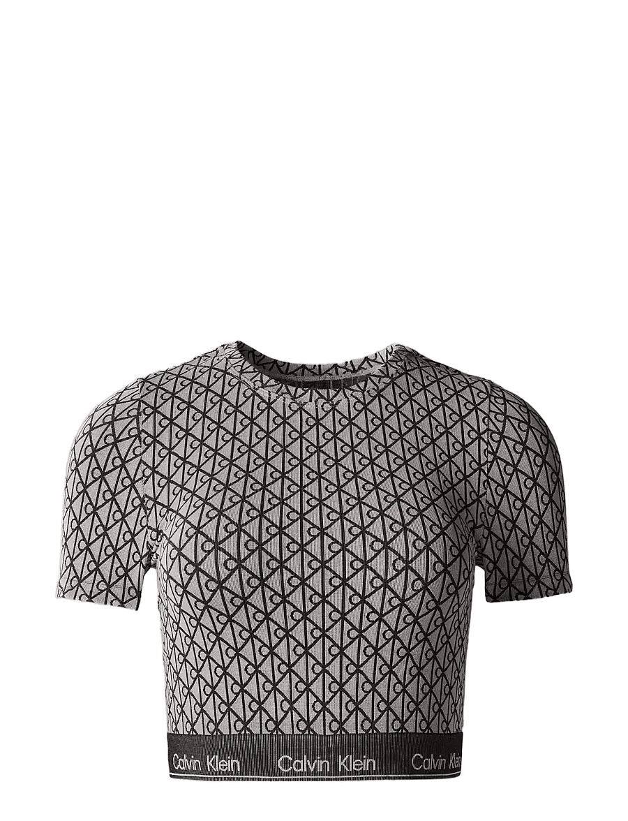 Calvin Klein - SHORT SLEEVE TOP - crop tops - seamless emblem pale liquid grey - 0
