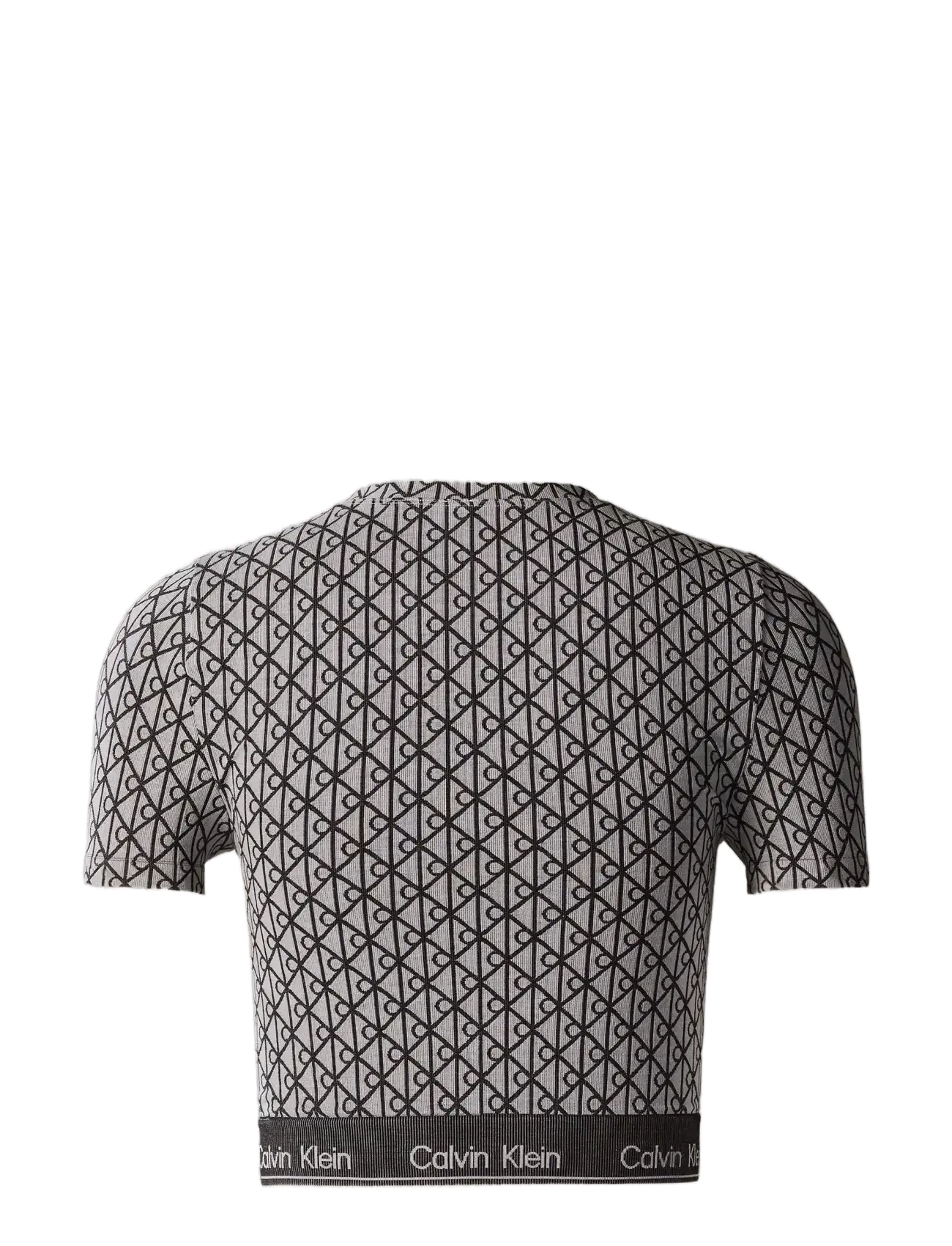 Calvin Klein - SHORT SLEEVE TOP - crop tops - seamless emblem pale liquid grey - 1