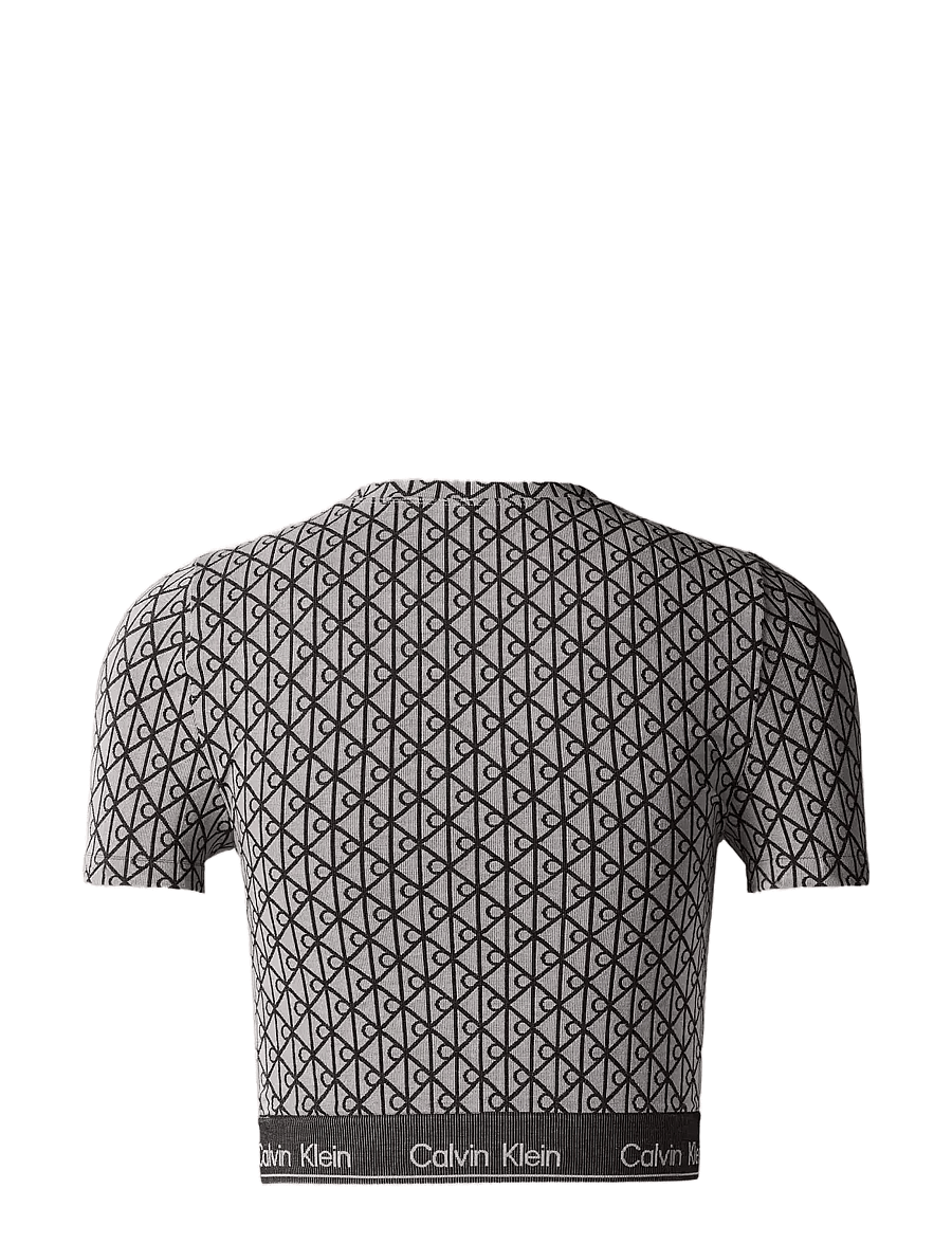 Calvin Klein - SHORT SLEEVE TOP - crop tops - seamless emblem pale liquid grey - 1