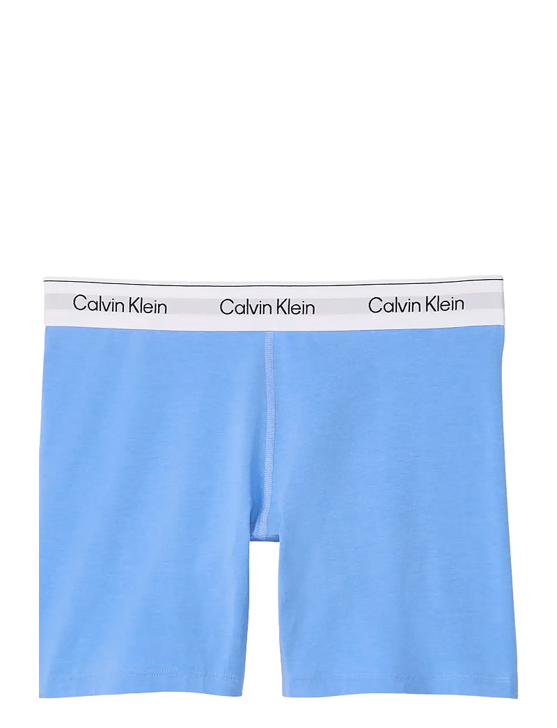 Calvin Klein - BOXER BRIEF - hipster & boxershorts - blue descent - 1