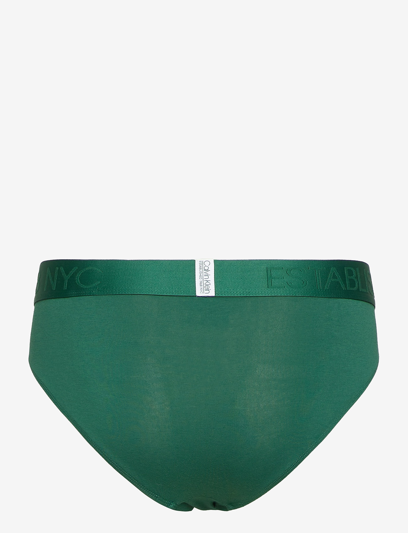 Calvin Klein - HIP BRIEF - alligator - 1