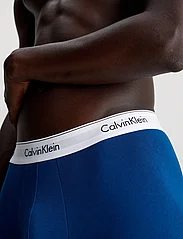 Calvin Klein - BOXER BRIEF 3PK - boxer briefs - eiffle tower, poisidon, dahlia - 3