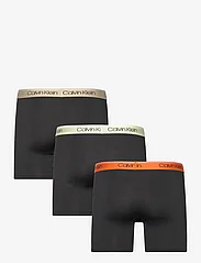 Calvin Klein - BOXER BRIEF 3PK - boxer briefs - b- euclypsts, lime cream, flame wbs - 1