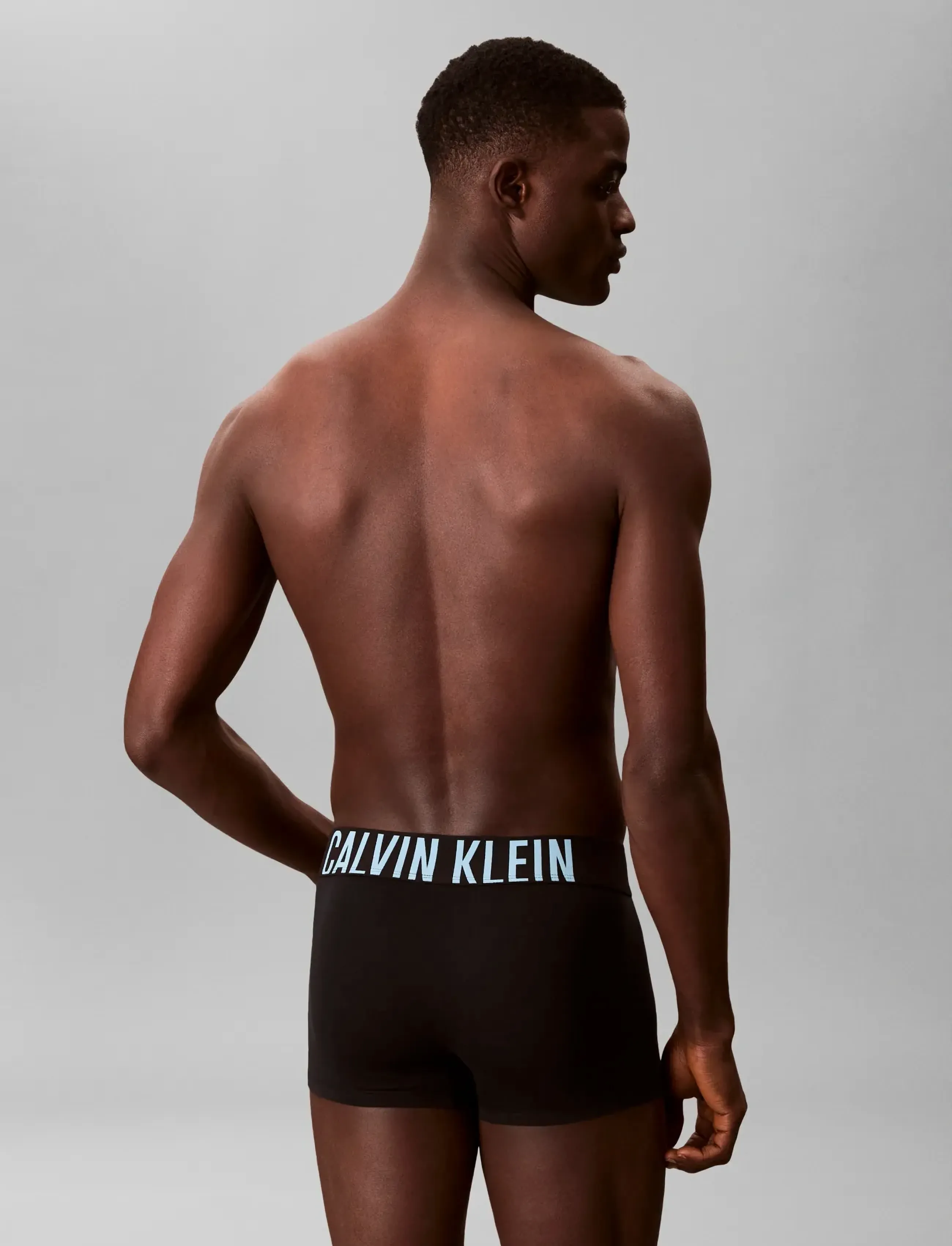 Calvin Klein - TRUNK 3PK - kelnaitės - black w  harbor mist logo  black w - 3