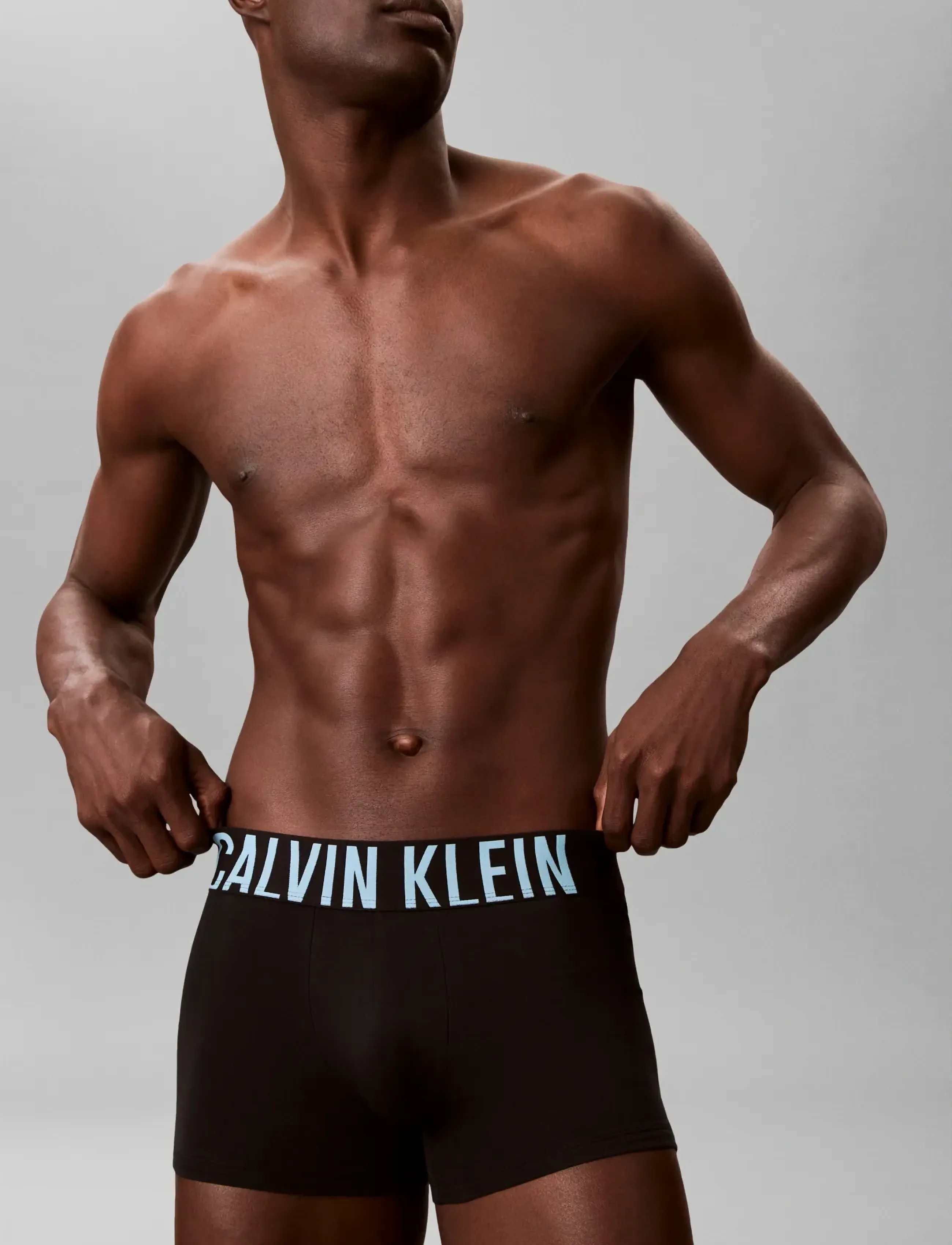 Calvin Klein - TRUNK 3PK - kelnaitės - black w  harbor mist logo  black w - 4