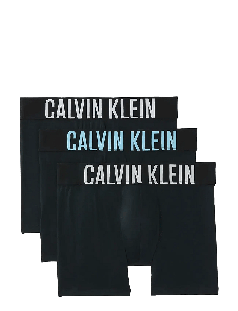 Calvin Klein - BOXER BRIEF 3PK - multipack kalsonger - black w harbor mist logo black w - 1