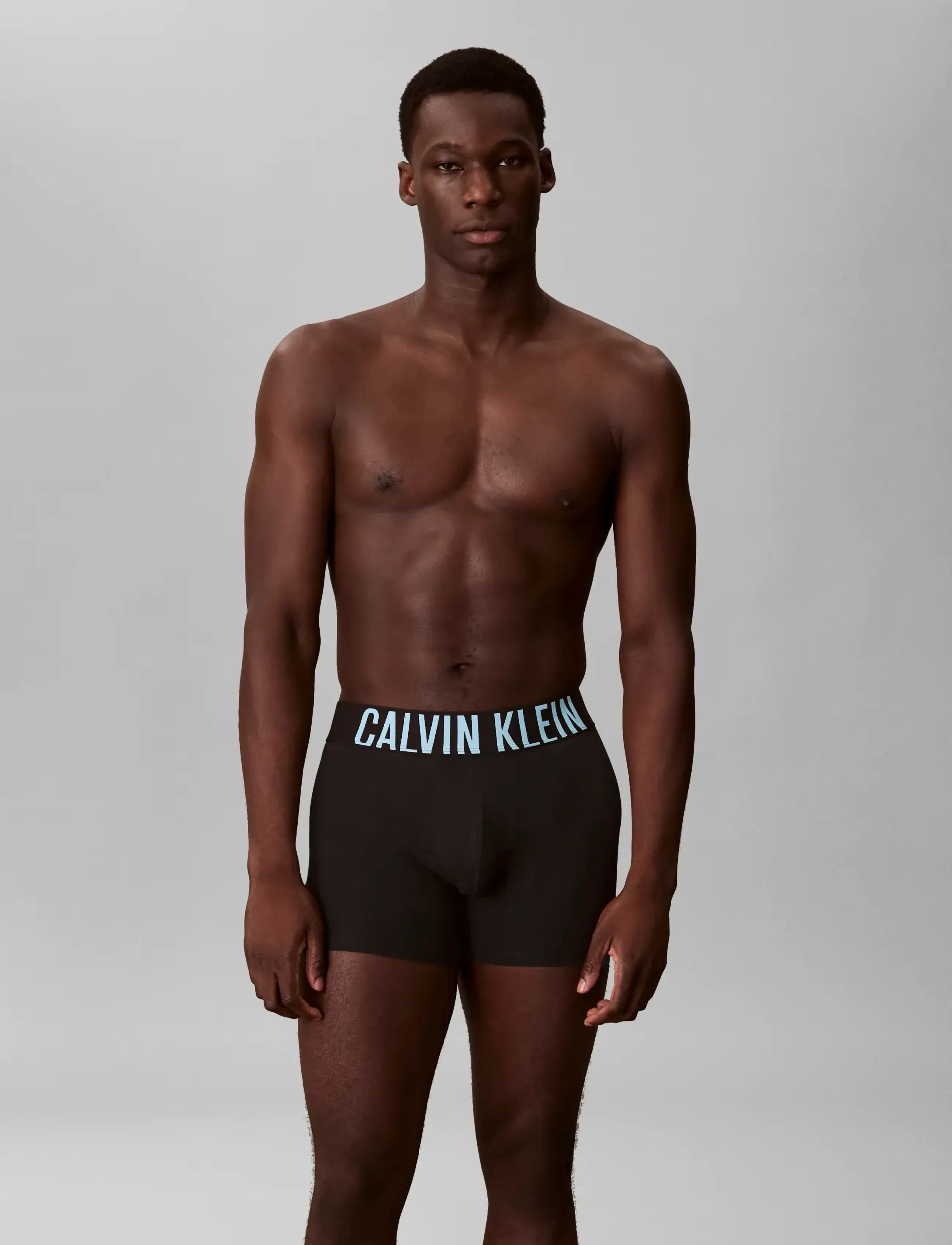 Calvin Klein BOXER BRIEF 3PK - Back to Basics - BLACK W  HARBOR MIST LOGO  BLACK W / black