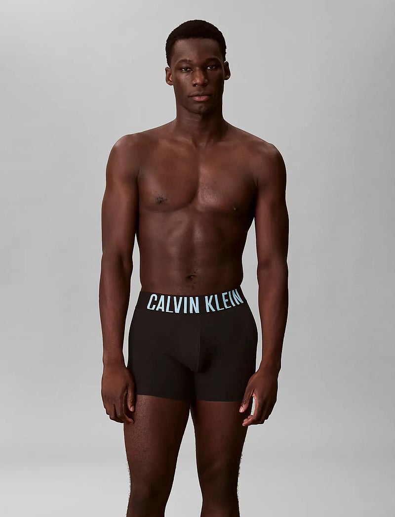 Calvin Klein - BOXER BRIEF 3PK - multipack kalsonger - black w harbor mist logo black w - 0