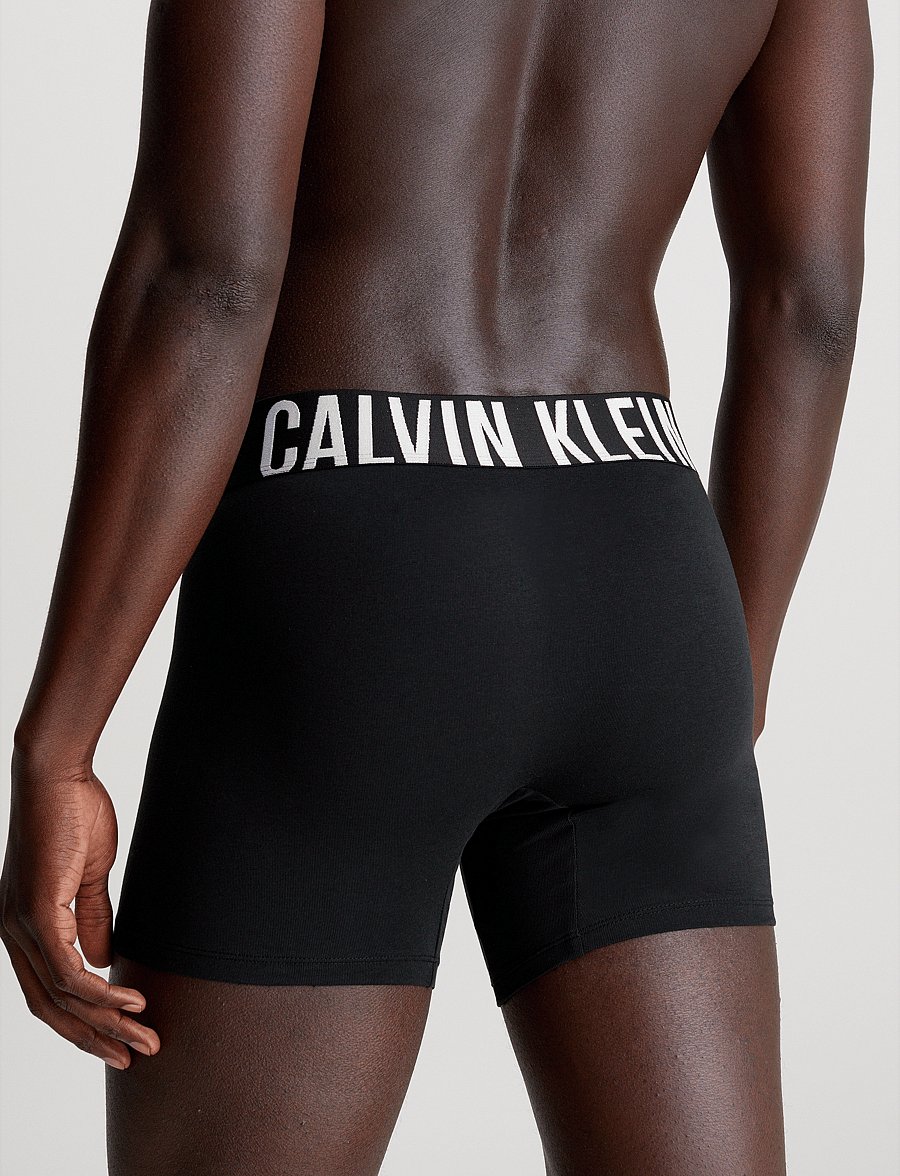 Calvin Klein - BOXER BRIEF 3PK - multipakk aluspüksid - black black black - 2