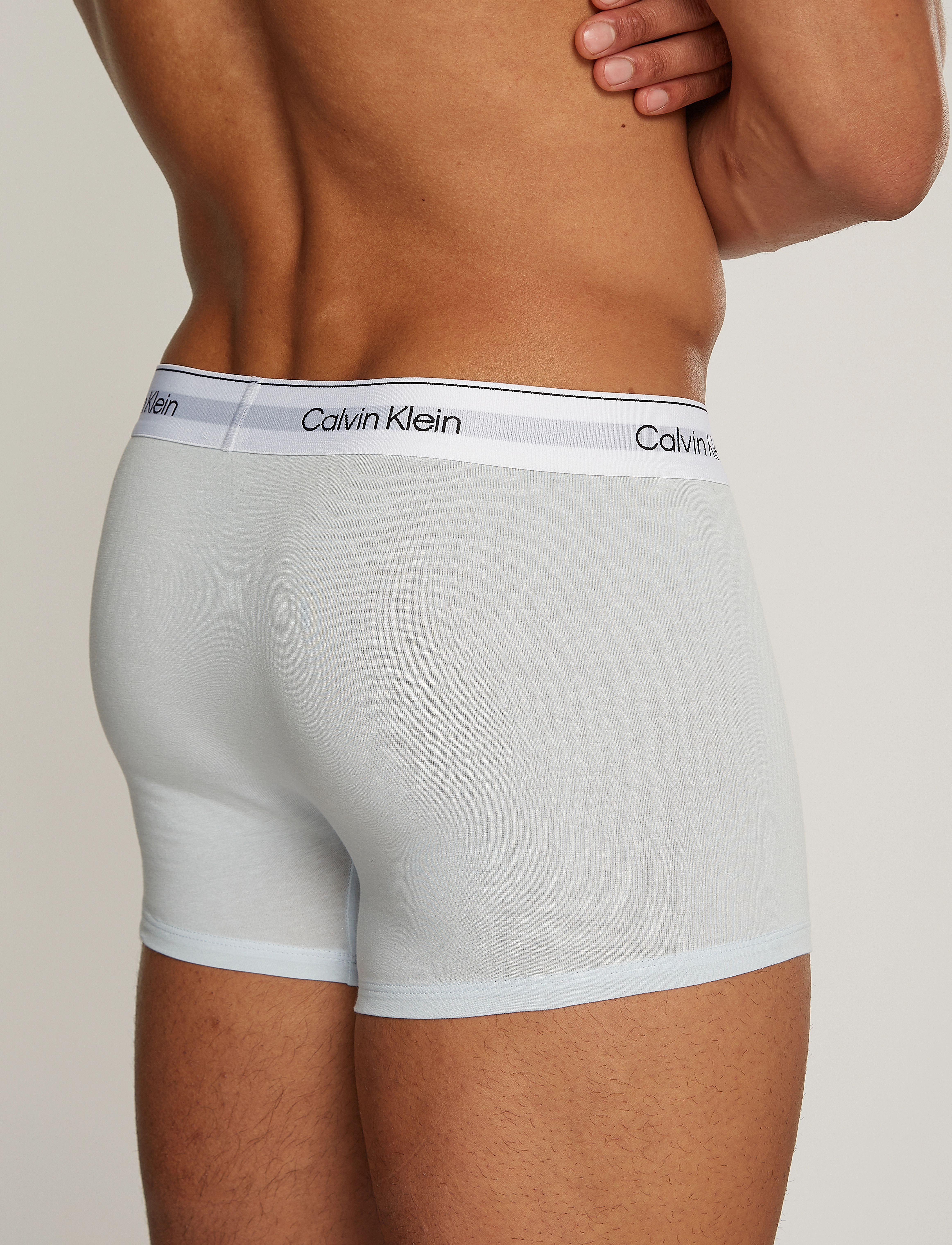 Calvin Klein - TRUNK 3PK - black, ash, plein air - 3