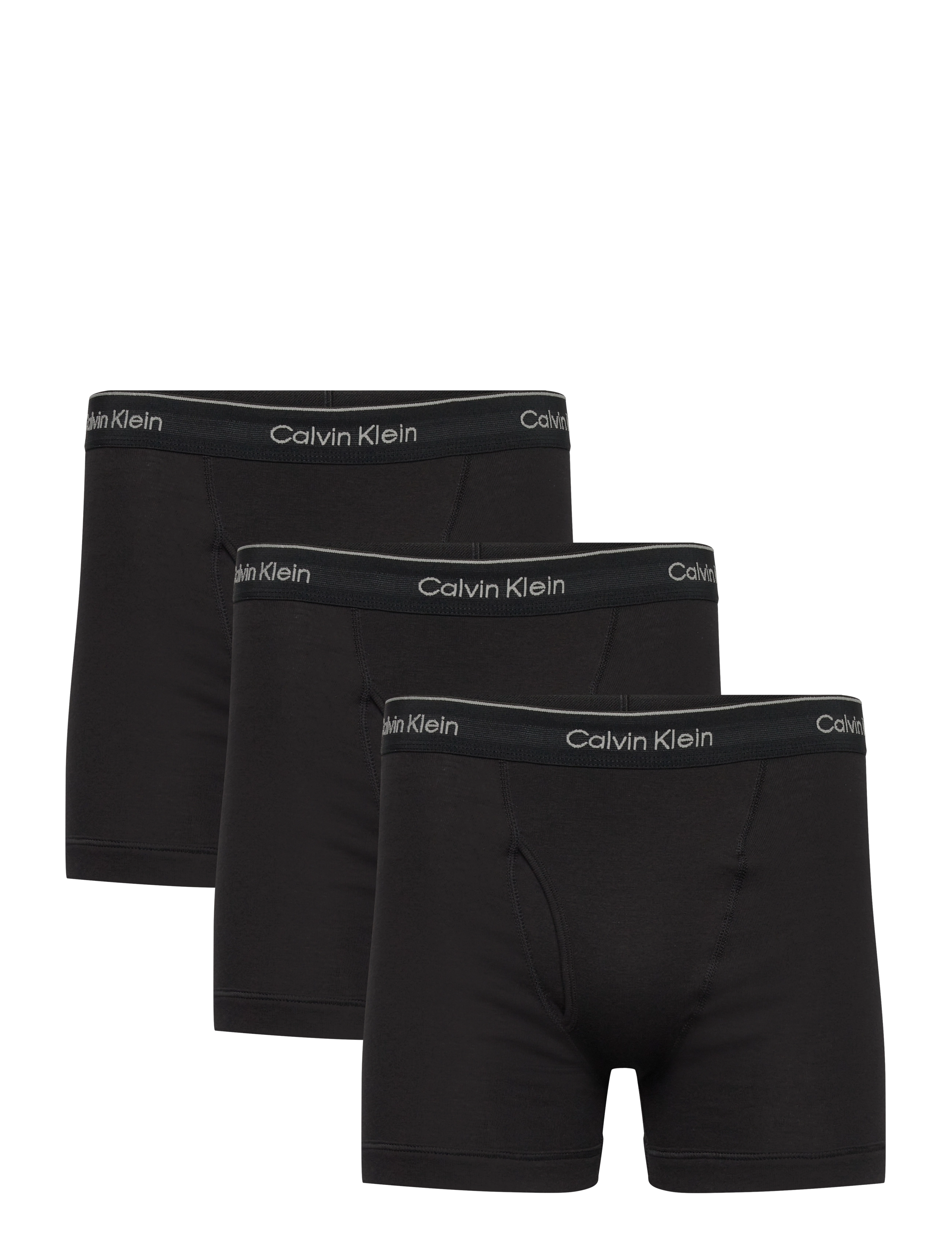 Calvin Klein - Boxer Brief 3