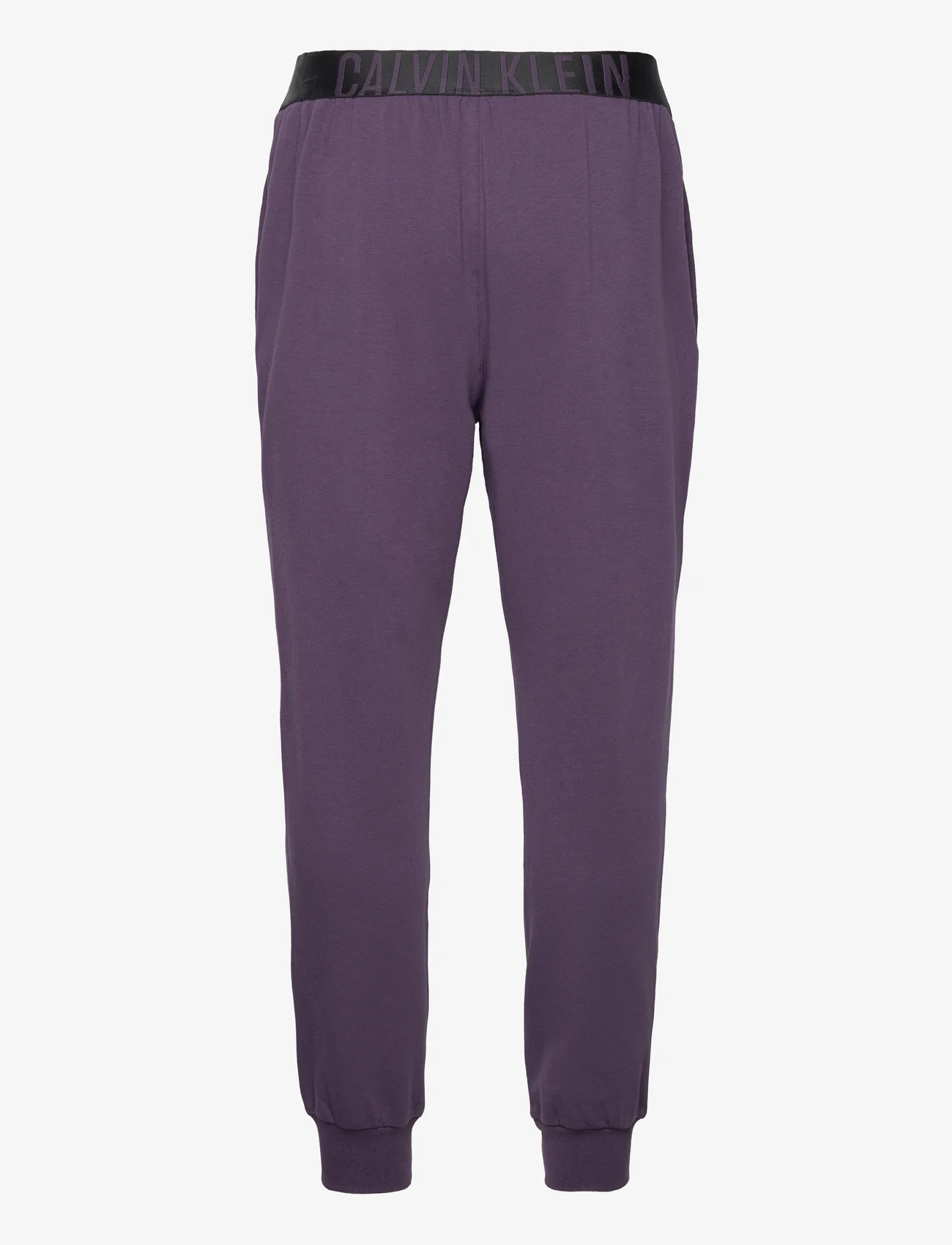 Calvin Klein - JOGGER - natbukser - mysterioso - 1