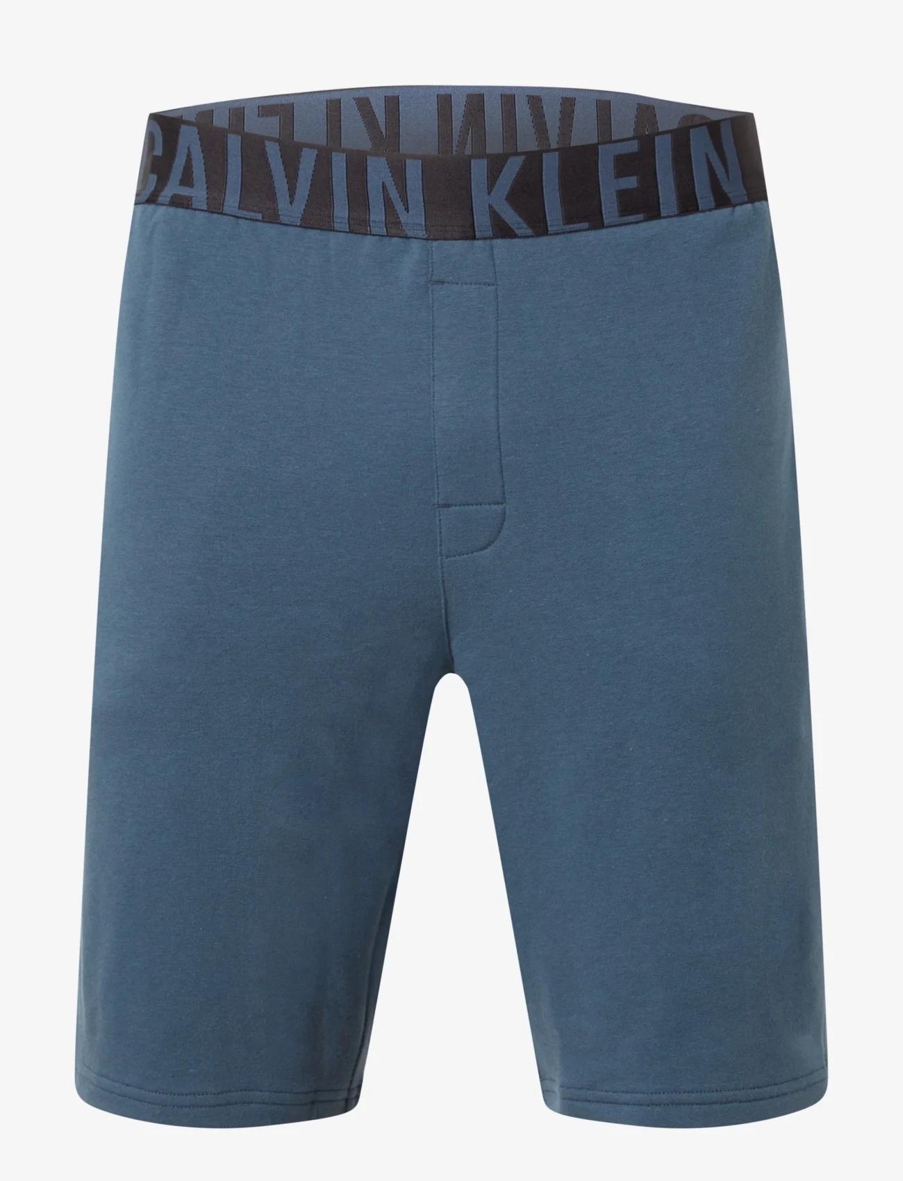 Calvin Klein - SLEEP SHORT - boxer shorts - hemisphere blue - 0
