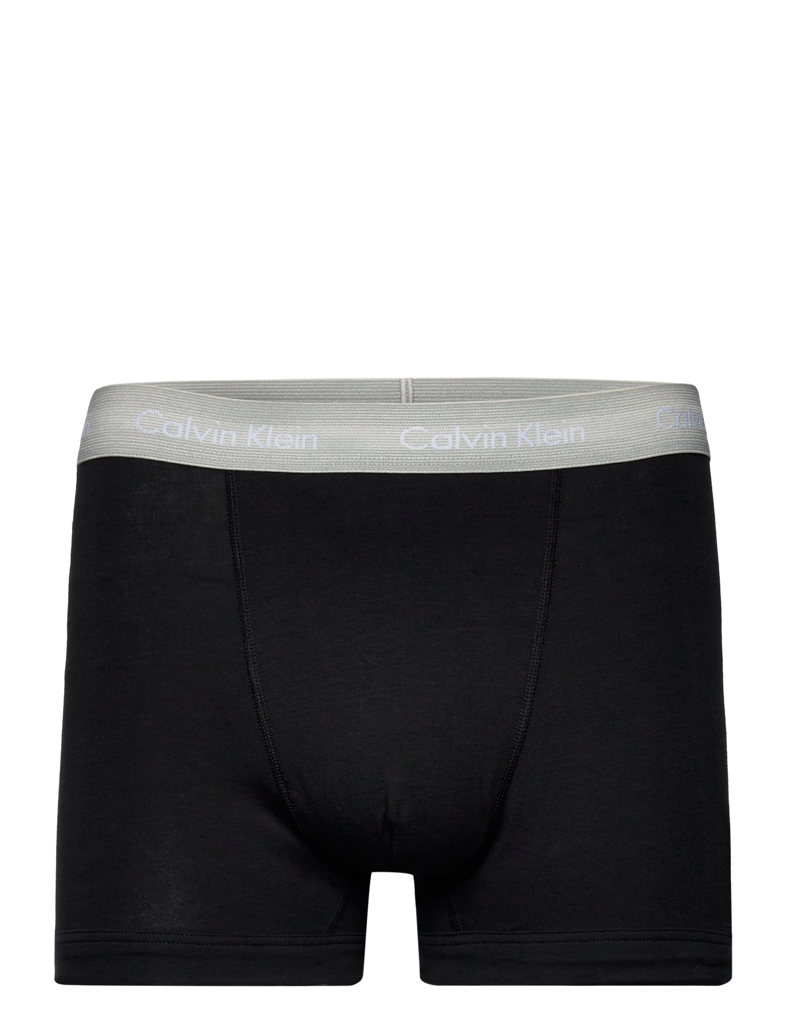 Calvin Klein - TRUNK 3PK - b- wild aster, gry hthr artc grn wb - 2