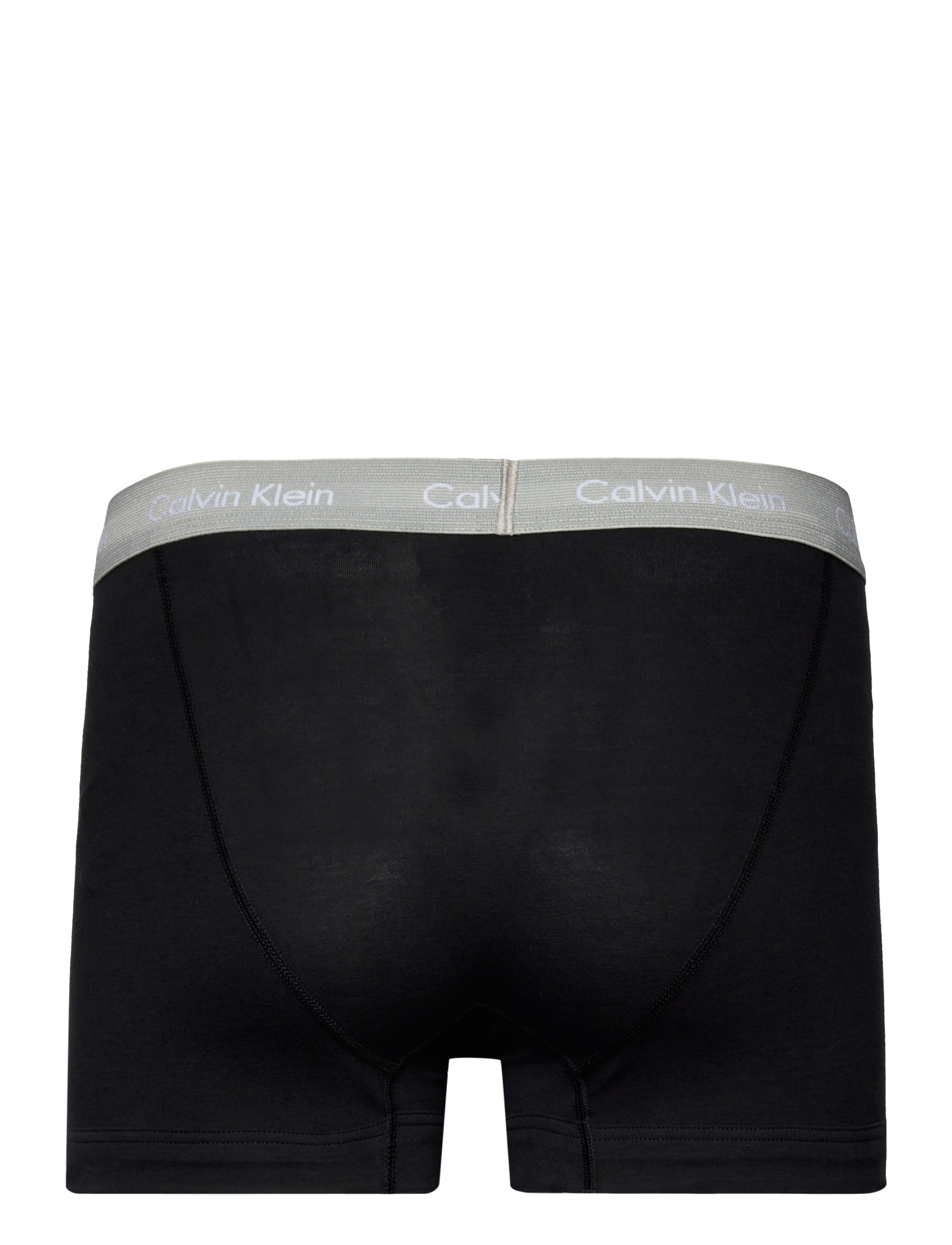 Calvin Klein - TRUNK 3PK - b- wild aster, gry hthr artc grn wb - 3