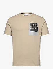 Calvin Klein - OVERLAY BOX LOGO T-SHIRT - zemākās cenas - eucalyptus - 0