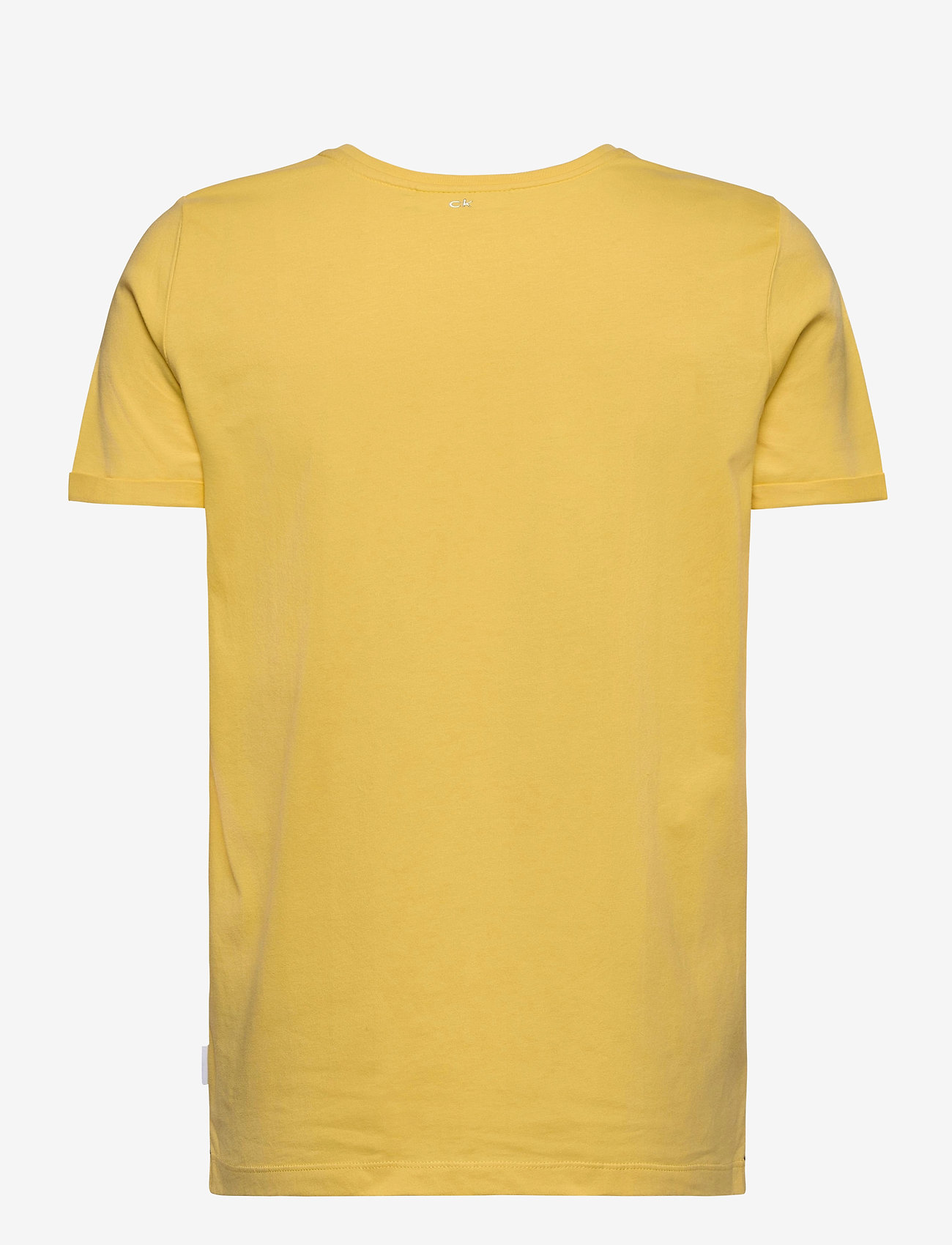 Calvin Klein - 3D METALLIC LOGO T-SHIRT - yellow dahlia - 1