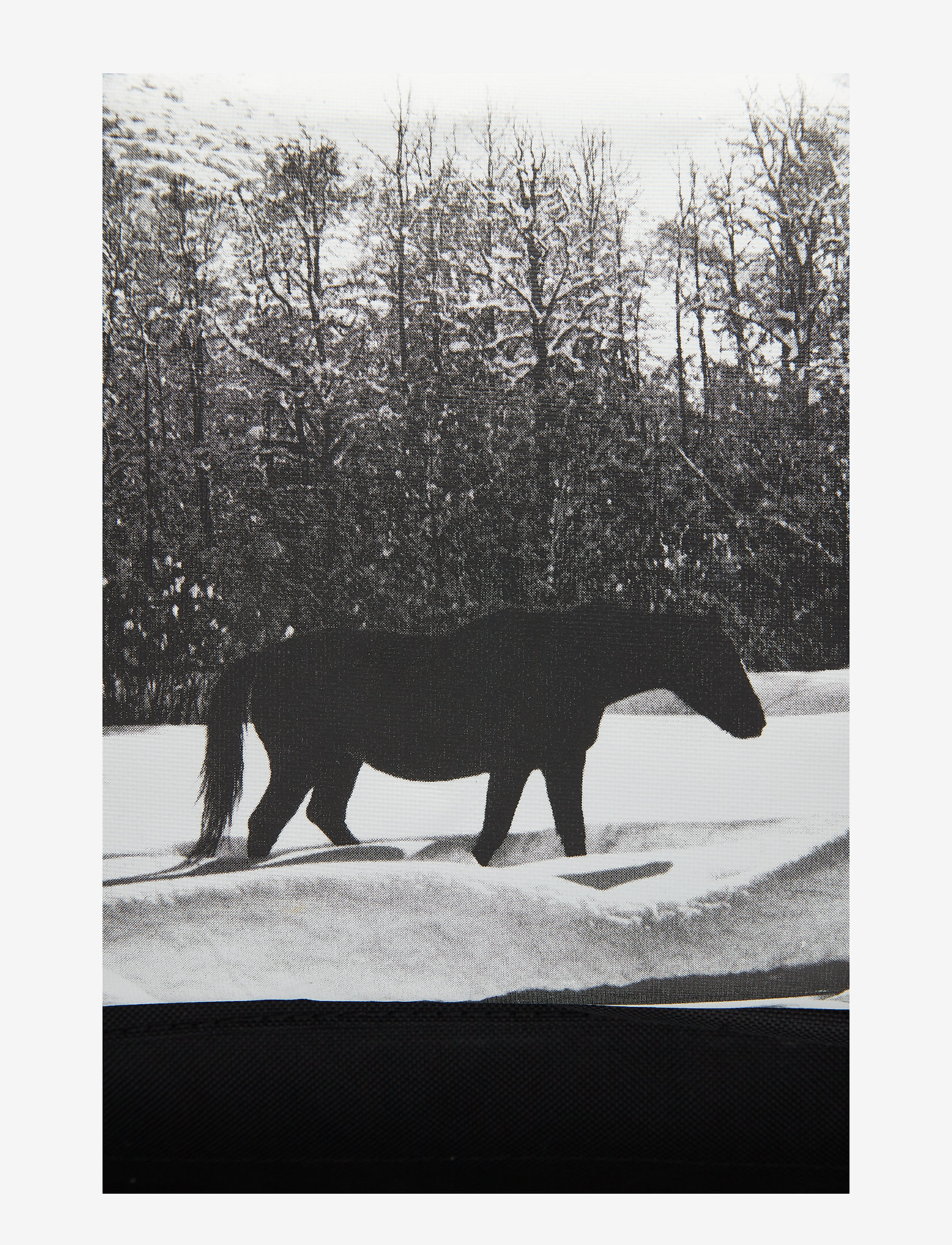 Calvin Klein - WARHOL HORSES IN SNOW CP BP P - black - 3