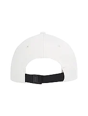 Calvin Klein - ARCHIVE CAP - caps - icicle - 2