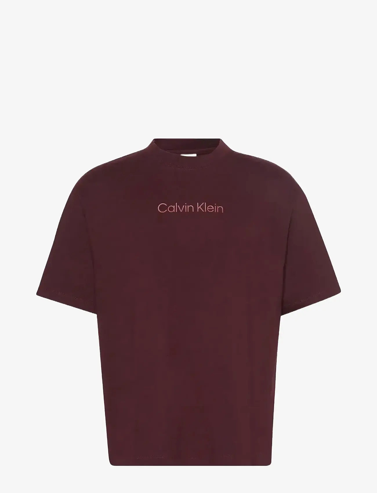 Calvin Klein - SS STANDARD LOGO 30S CREWNK TEE - lühikeste varrukatega t-särgid - moroccan brown - 1