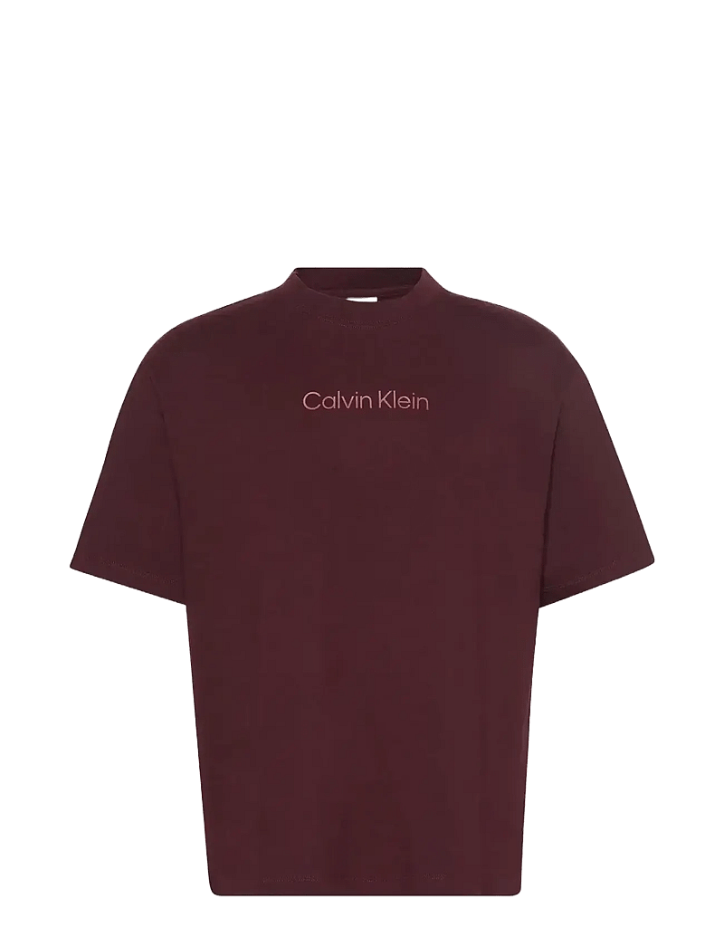 Calvin Klein - SS STANDARD LOGO 30S CREWNK TEE - lühikeste varrukatega t-särgid - moroccan brown - 1