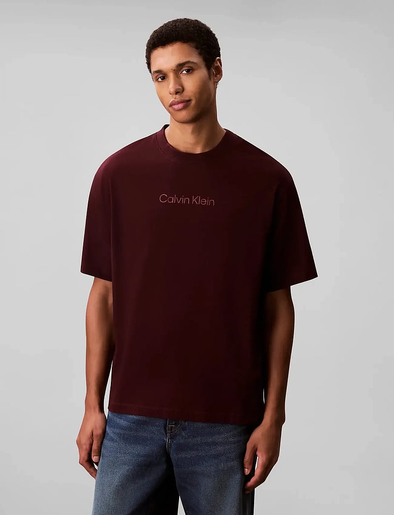 Calvin Klein - SS STANDARD LOGO 30S CREWNK TEE - lühikeste varrukatega t-särgid - moroccan brown - 0