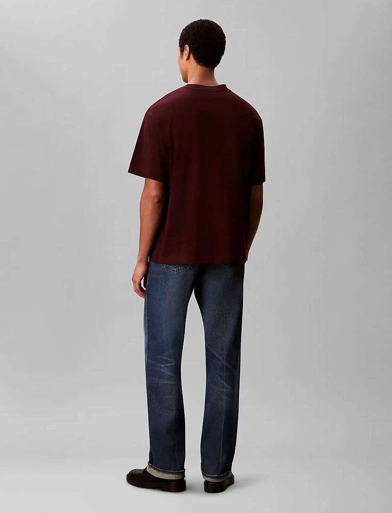 Calvin Klein - SS STANDARD LOGO 30S CREWNK TEE - lühikeste varrukatega t-särgid - moroccan brown - 3