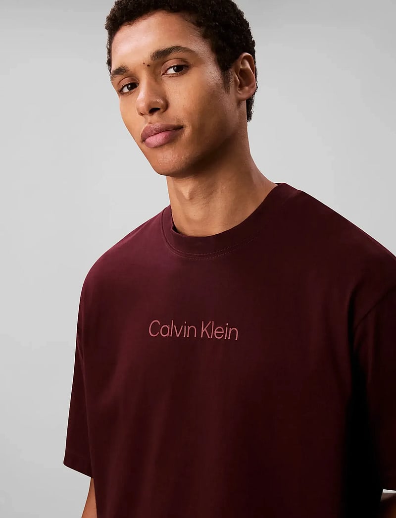 Calvin Klein - SS STANDARD LOGO 30S CREWNK TEE - lühikeste varrukatega t-särgid - moroccan brown - 4