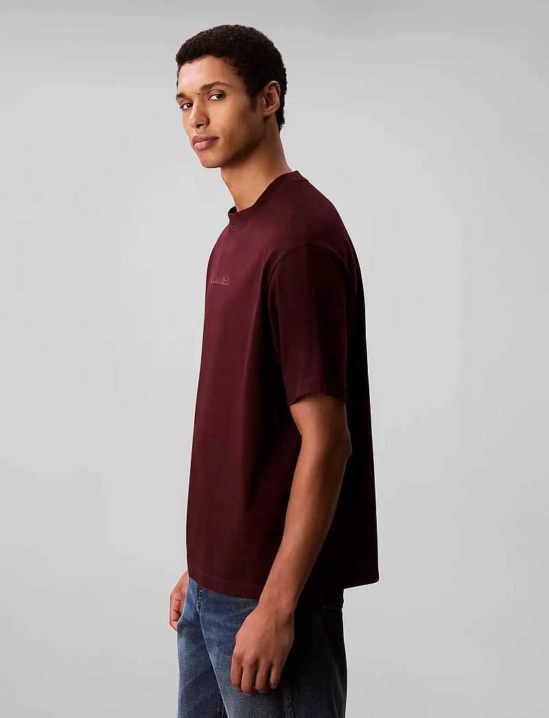 Calvin Klein - SS STANDARD LOGO 30S CREWNK TEE - lühikeste varrukatega t-särgid - moroccan brown - 5