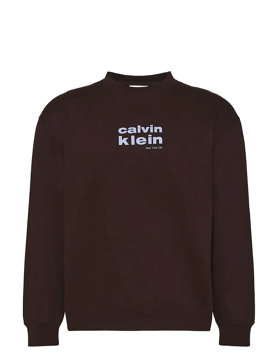 Calvin Klein - LS 350FLEECE RETRO GRAPHIC CREWN - Ümmarguse kaelusega kudumid - rich brown - 1