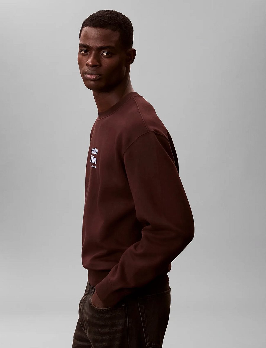 Calvin Klein - LS 350FLEECE RETRO GRAPHIC CREWN - Ümmarguse kaelusega kudumid - rich brown - 5
