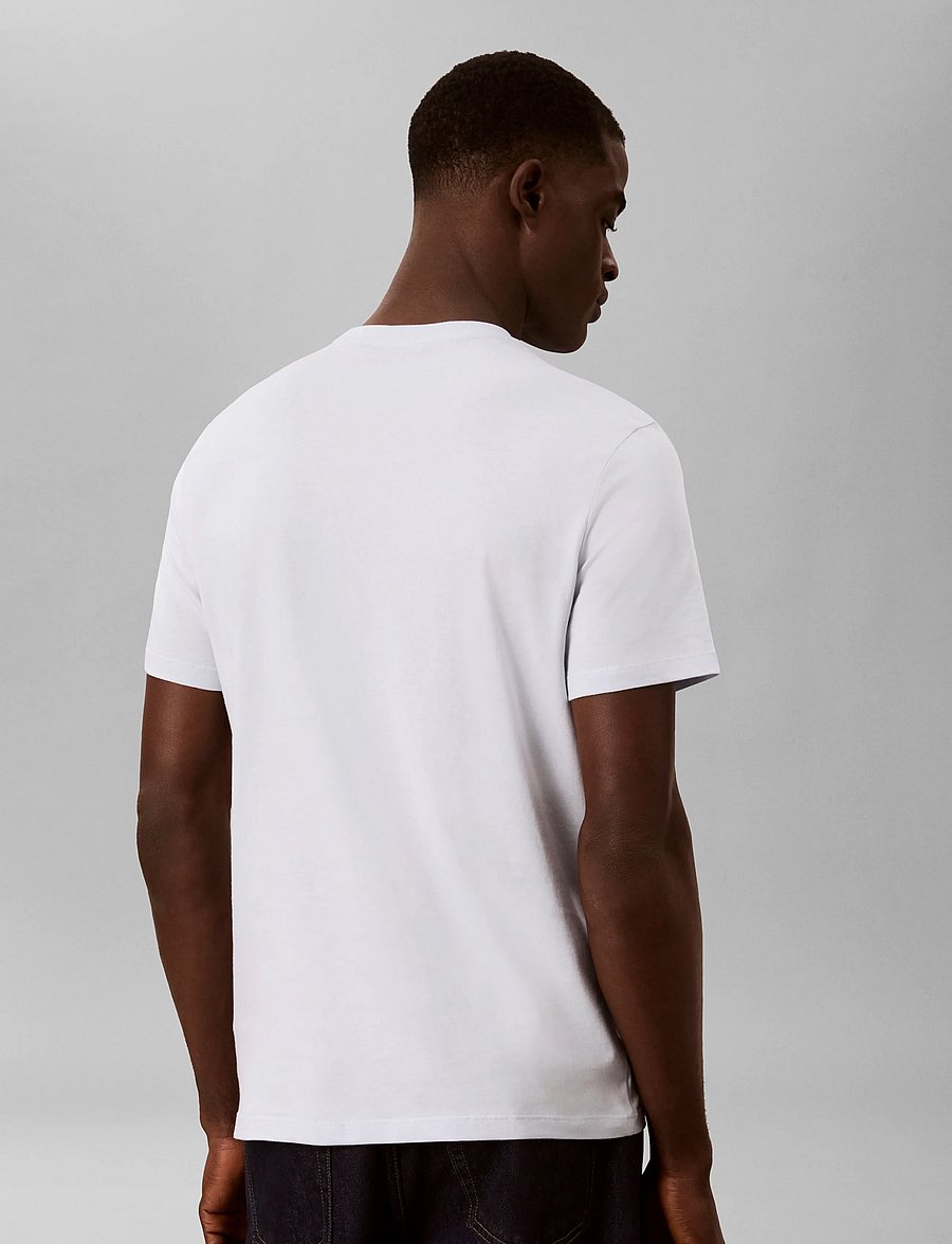 Calvin Klein - 30S EU WHOLESALE SPORTSWEAR GRAP - kurzärmelige t-shirts - plein air - 3