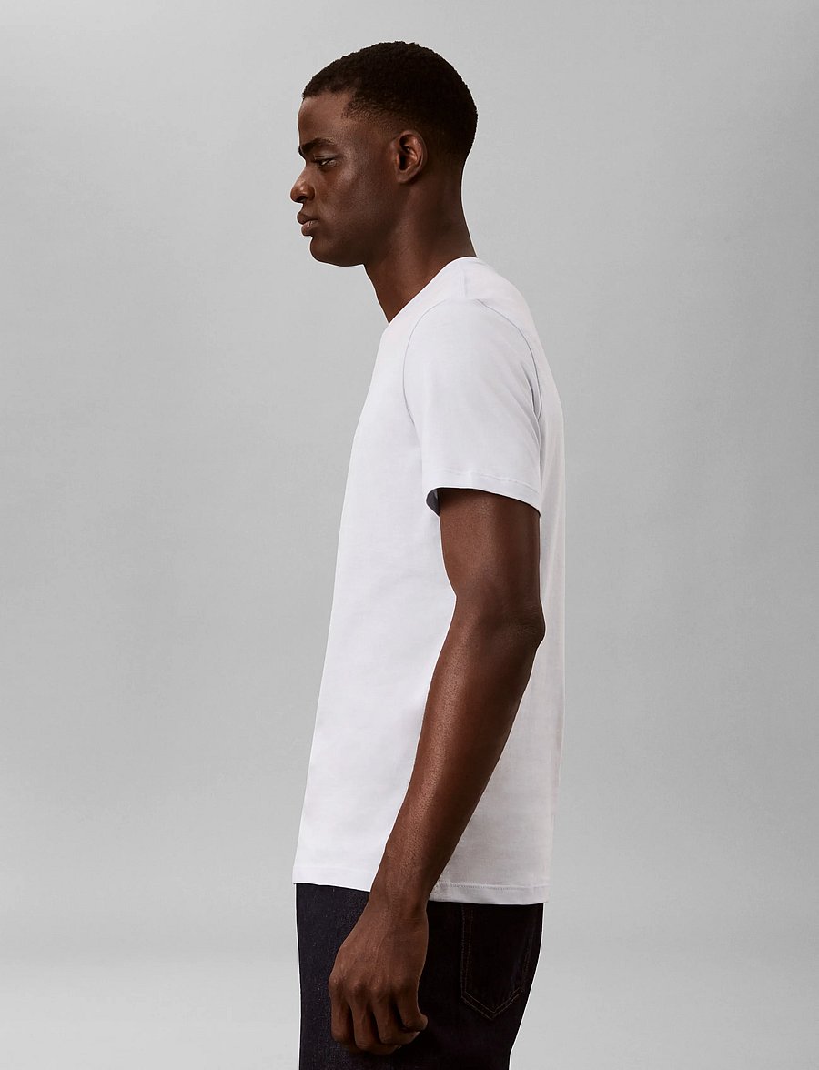 Calvin Klein - 30S EU WHOLESALE SPORTSWEAR GRAP - kurzärmelige t-shirts - plein air - 5