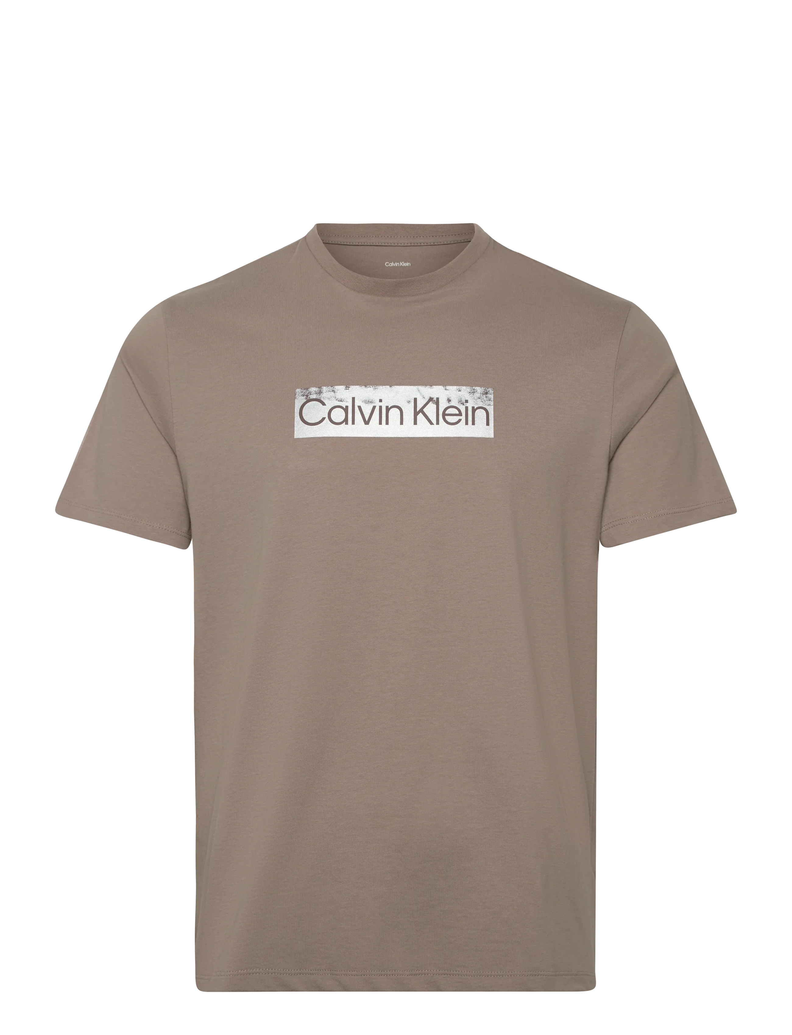 Calvin Klein SS 30s EU SPW MTL STNDRD GRAPHIC - T-särgid - ROASTED CASHEW / brown