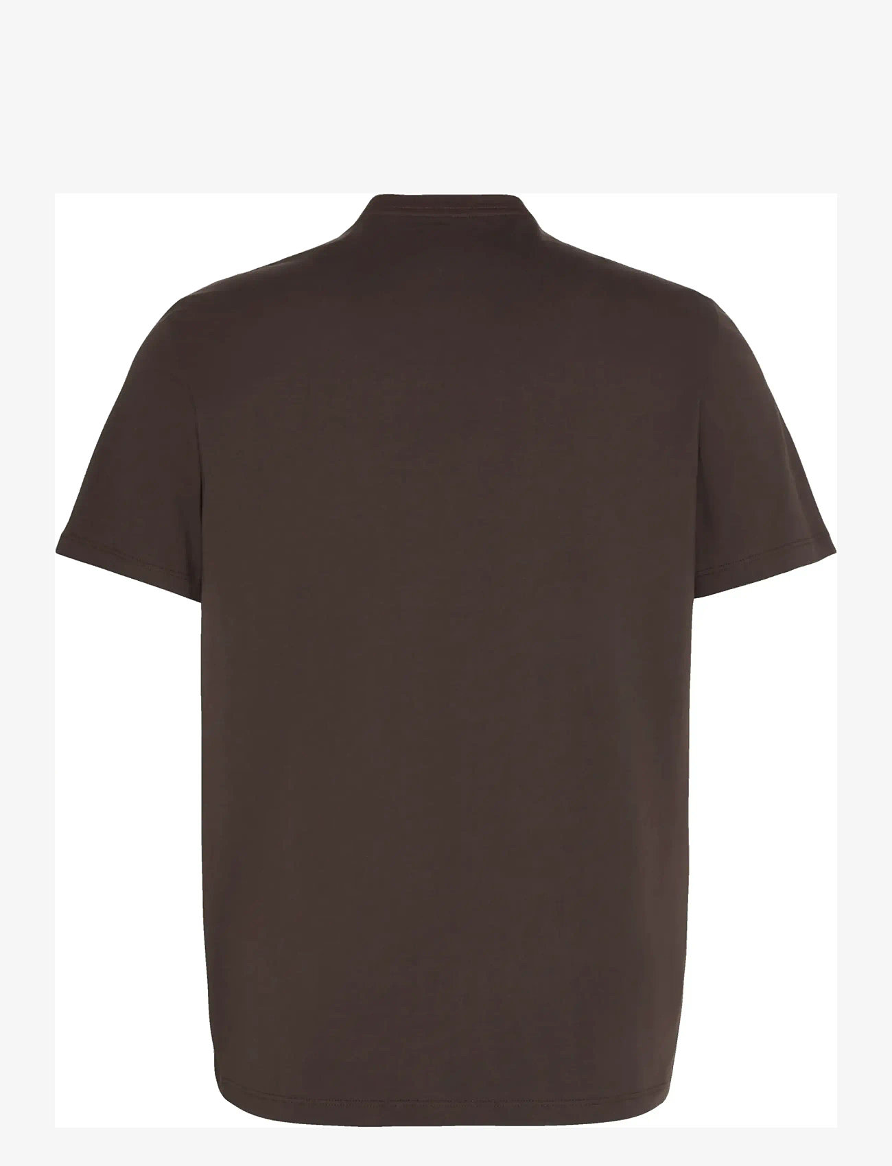 Calvin Klein - SS 30S WHSL CKJ JERSEY GRAPHIC T - t-krekli ar īsām piedurknēm - rich brown - 2
