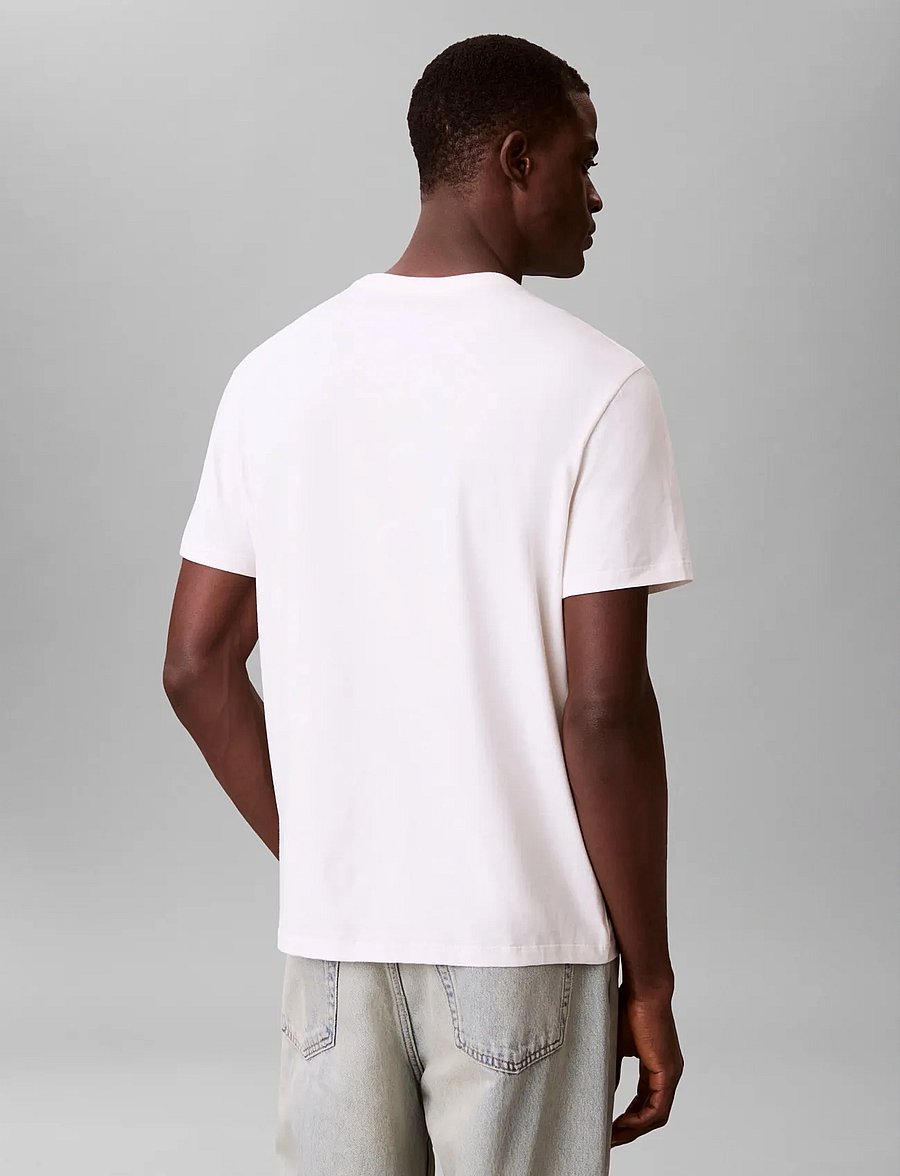 Calvin Klein - SS 20S WHSL SP CKLEIN NY GRAPHIC - kurzärmelige t-shirts - white greige - 2