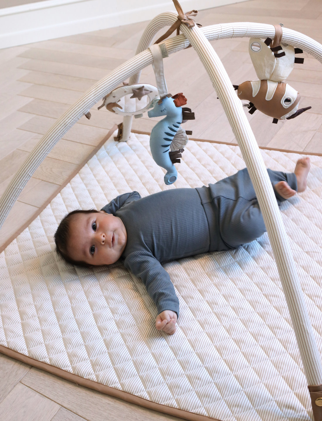 Baby gym mobile shop