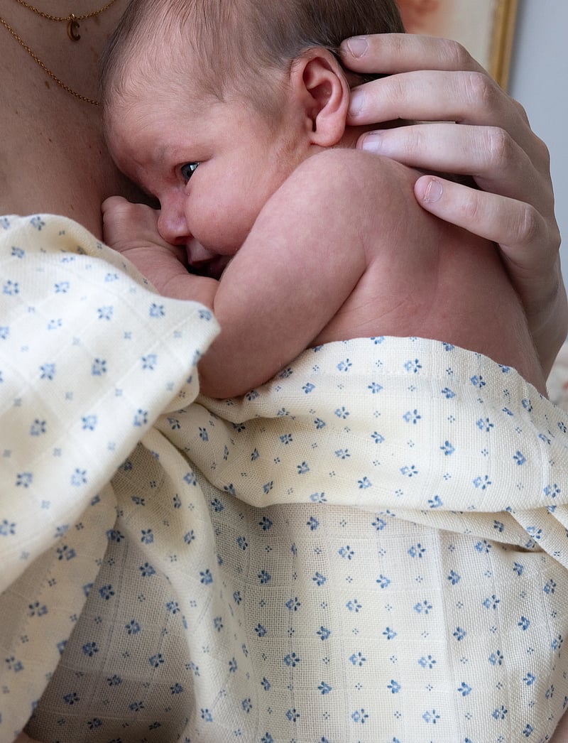 Cam Cam Copenhagen - Muslin Cloth, Printed, 2-pack - GOTS - muslindukar - capri - 0