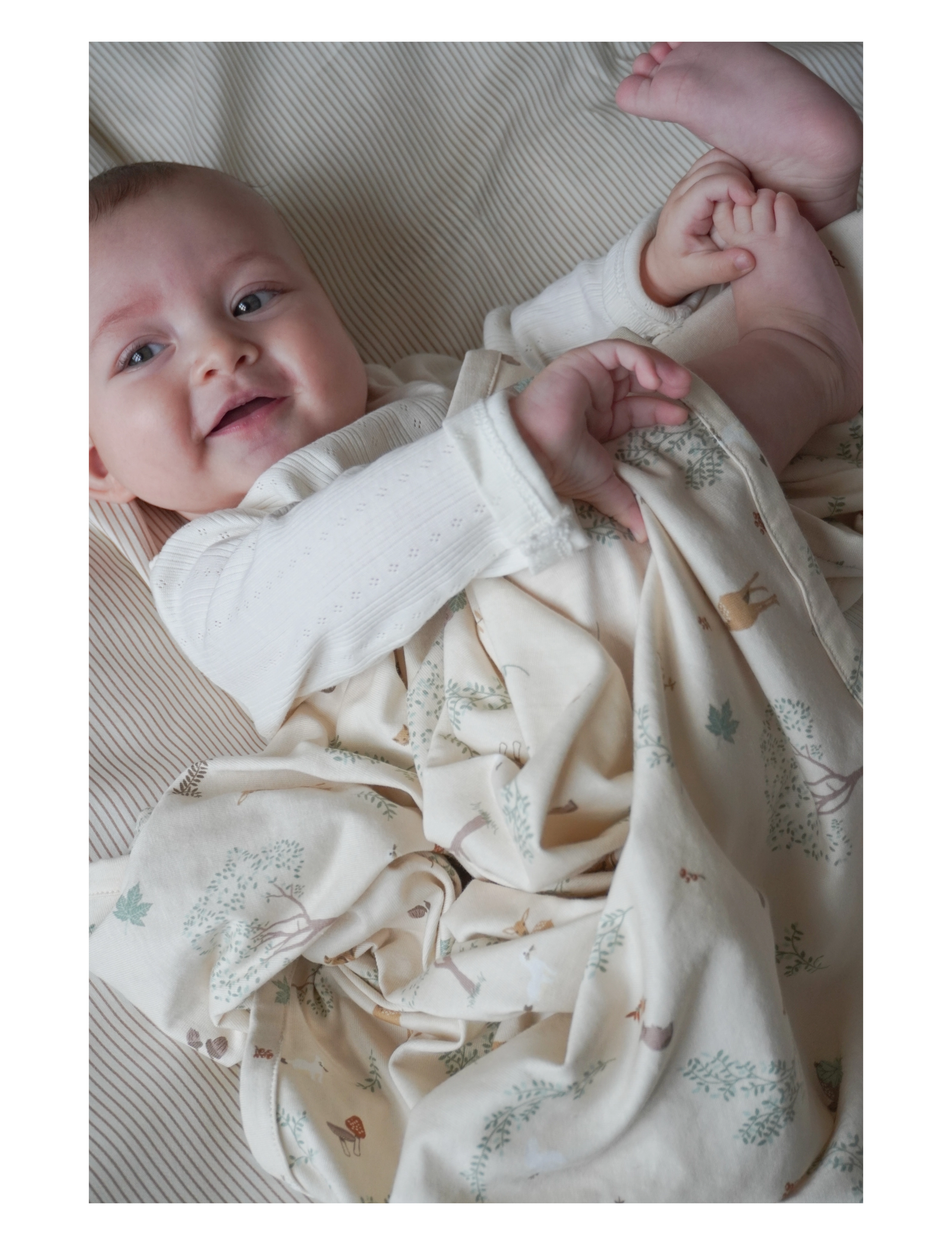 Cam Cam Copenhagen - Jersey Swaddle - GOTS - Woodland - schmusetuch - woodland - 2
