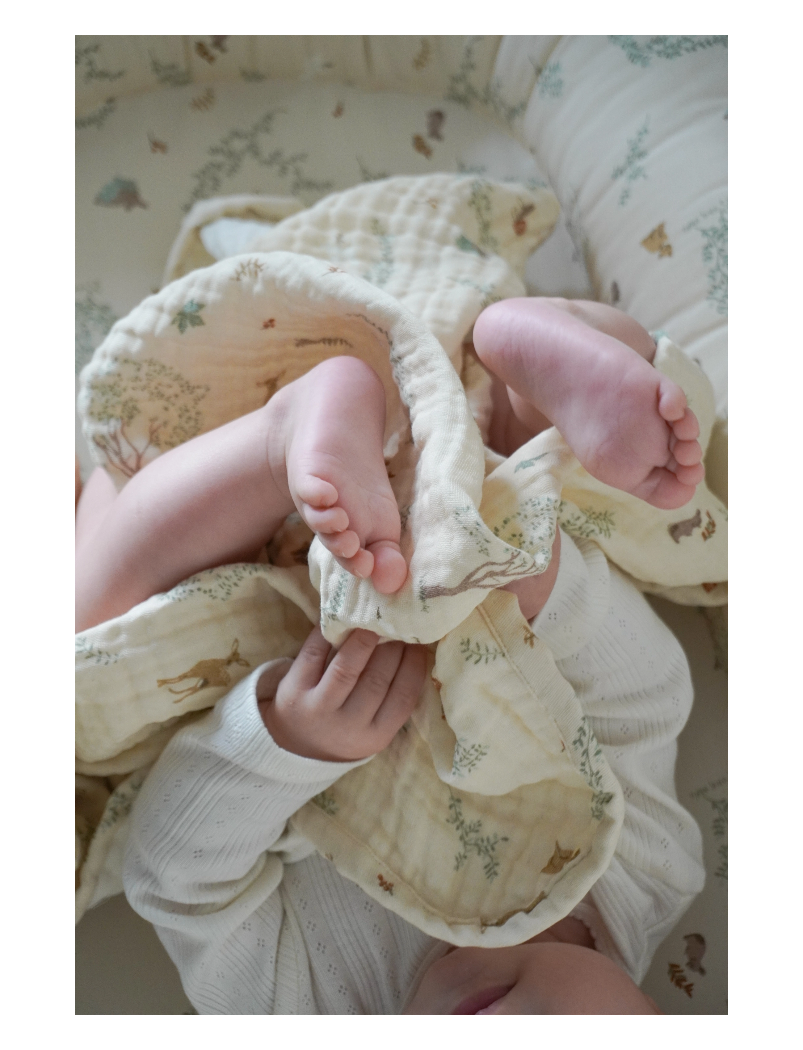 Cam Cam Copenhagen - Muslin Baby Blanket - GOTS - Woodland - musliinist tekid - woodland - 1
