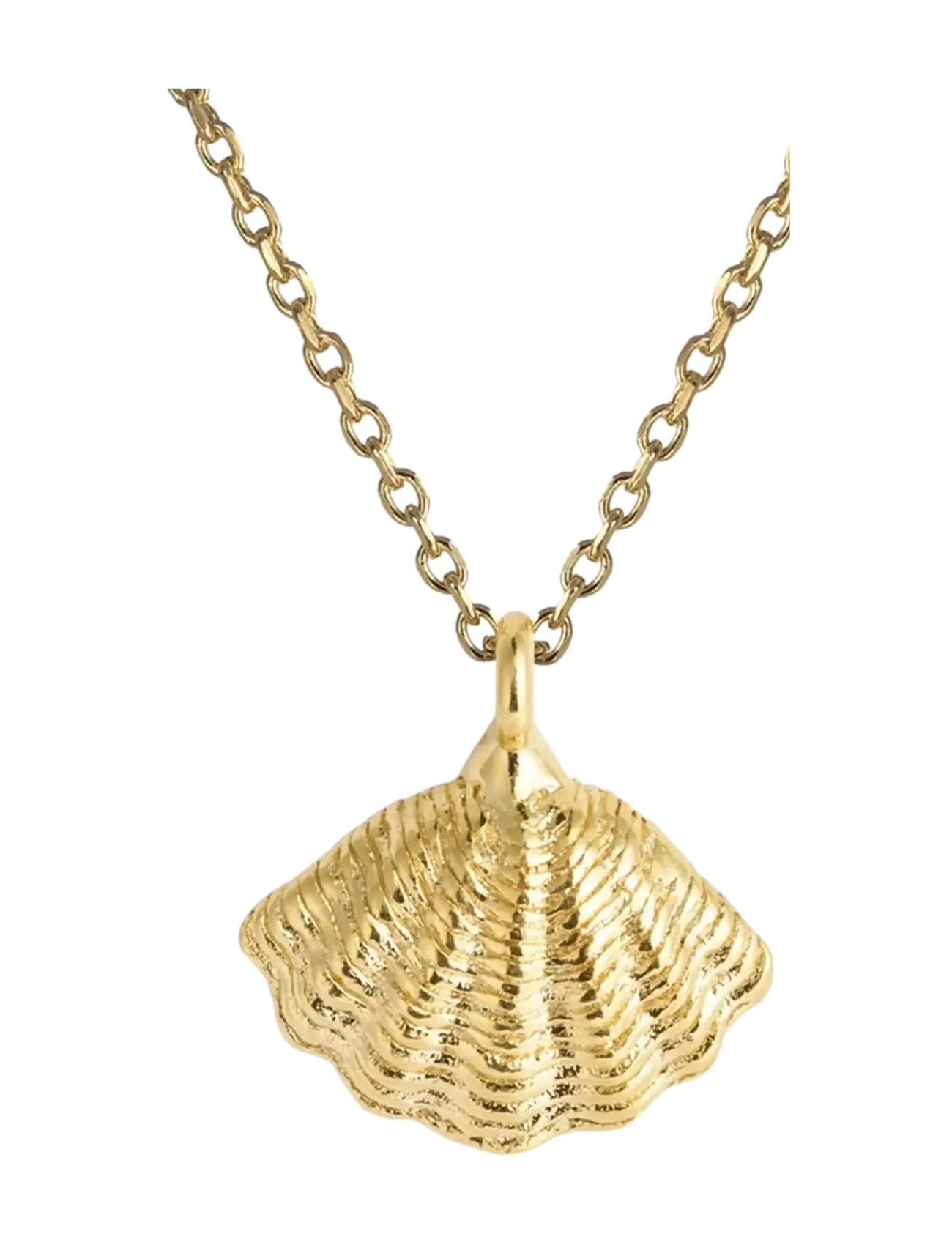 Caroline Svedbom MIRA SHELL NECKLACEGOLD - Caroline Svedbom - GOLD / gold
